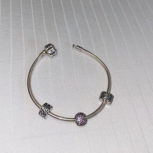 Pandora Lavender Charm